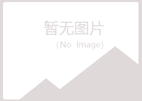 哈密曼山化学有限公司